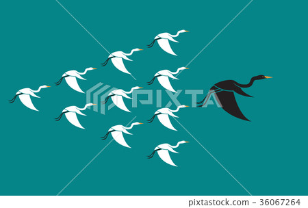 Flock of bird flying on blue background,Leadership Flock of bird flying on blue background,Leadership 36067264