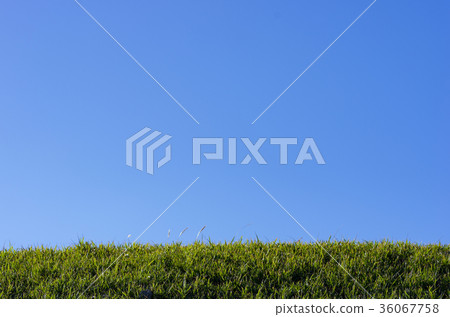 草原和藍天 草原和藍天 36067758