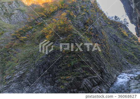 Kiyotsu河的風景在秋天 Kiyotsu河的風景在秋天 36068627