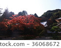 秋葉神山 36068672