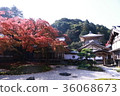 秋葉神山 36068673
