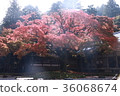 秋葉神山 36068674