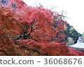 秋葉神山 36068676