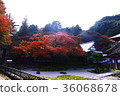 秋葉神山 36068678