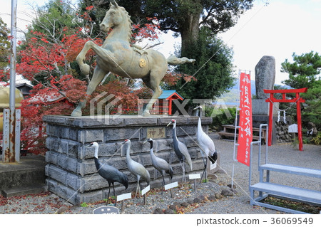 Hakozaki Hachiman Shrine Shinma Hakozaki Hachiman Shrine Shinma 36069549