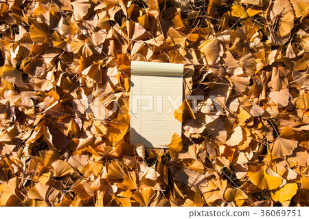 Note pad on the Fallen autumn leaves background 36069751
