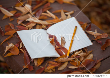 Book and pencil on a bench in autumn leaves view 36069966