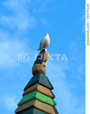 Seagull on a wooden statue at kids playground 36070188