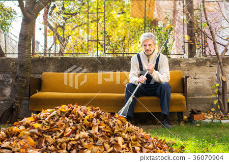 Tired man taking rest from cleaning fallen autumn leaves in the Tired man taking rest from cleaning fallen autumn leaves in the 36070904