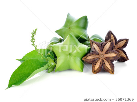 Sacha Inchi on white background Sacha Inchi on white background 36071369