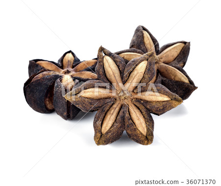 Sacha Inchi on white background Sacha Inchi on white background 36071370