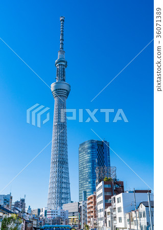 <<Tokyo>> Sky Tree/Cityscape <<Tokyo>> Sky Tree/Cityscape 36071389