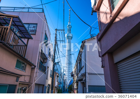 <<Tokyo>> Skytree, alley of downtown 36071404