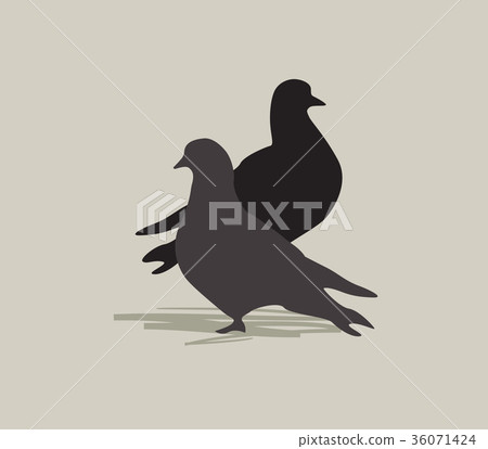 Two birds dove. Love in peace. Forgive me card Two birds dove. Love in peace. Forgive me card 36071424