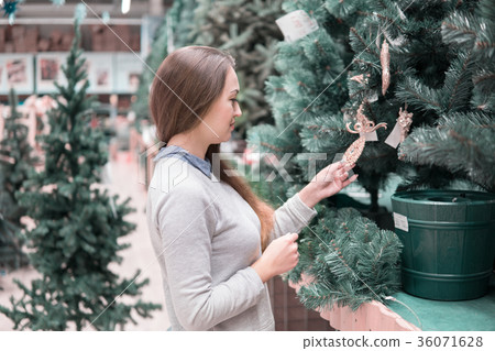 happy customer girl choosing Christmas tree for 36071628