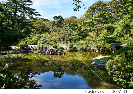 秋天的秋天 36071911