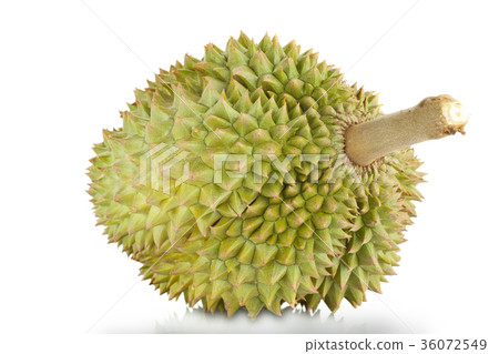 .Durian 36072549