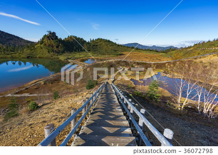 [Gunma Prefecture] Kusatsu Shirane Yumi Pond 36072798