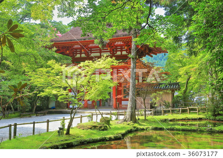 Muroji寺 Muroji寺 36073177