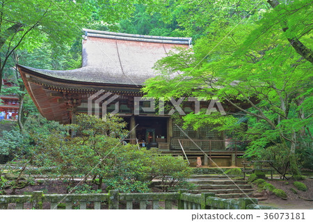 Muro-ji Temple Main Hall 36073181