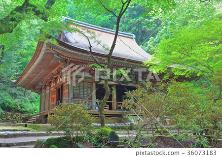 Muro-ji Temple Main Hall 36073183