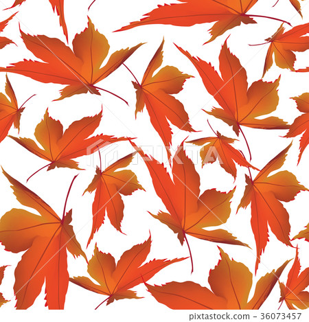 Autumn leaves seamless Floral Fall leaf pattern - Stock Illustration ...
