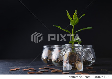 Plant growing on coins in glass jar 36074128