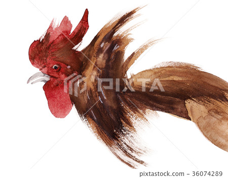 Watercolor illustration of a rooster 36074289
