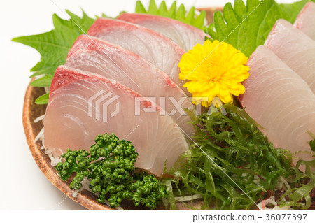 Yellowtail sashimi 36077397