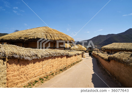 Gyeongbuk安東市Hahoe村 36077643