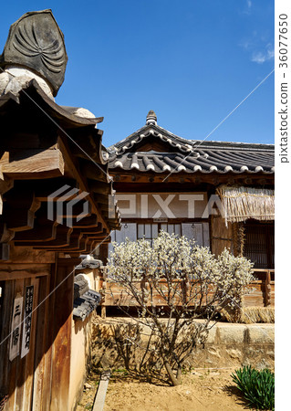Hahoe Village, Andong City, Gyeongbuk Hahoe Village, Andong City, Gyeongbuk 36077650