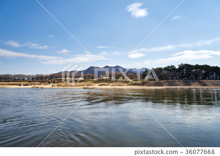 Gyeongbuk安東市Hahoe村 36077668