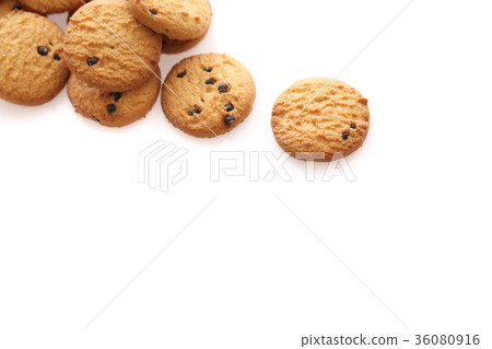 Chocolate chip cookie isolated in white background Chocolate chip cookie isolated in white background 36080916