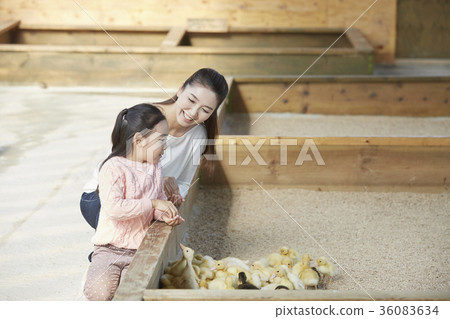 母親，女兒，經驗，小鴨子，鴨子 36083634