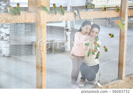 Mom, Daughter, Experience, Parrot 36083732
