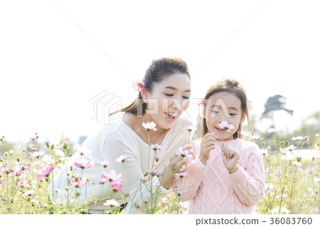 母親,女兒,公園 母親,女兒,公園 36083760
