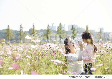 母親,女兒,公園 母親,女兒,公園 36083788
