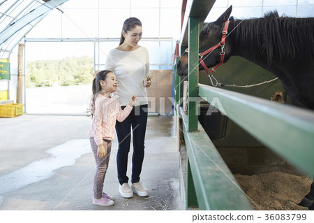 母親,女兒,經驗,馬 母親,女兒,經驗,馬 36083799