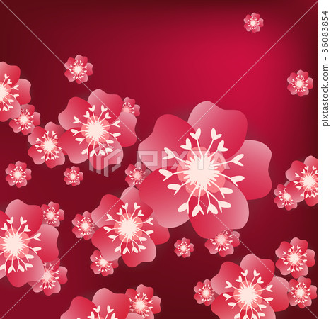 Chinese new year background blooming sakura Chinese new year background blooming sakura 36083854