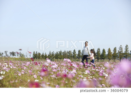 Mother, daughter, park Mother, daughter, park 36084079