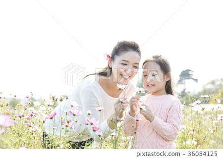 母親,女兒,公園 母親,女兒,公園 36084125