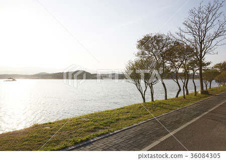 Lake, park, scenery 36084305