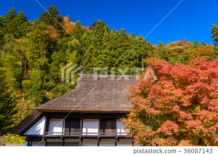 Tomizawa house國家指定重要文化財產（群馬縣中野町） 36087143