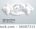 thai Culture painting, stock vector pattern, 36087315