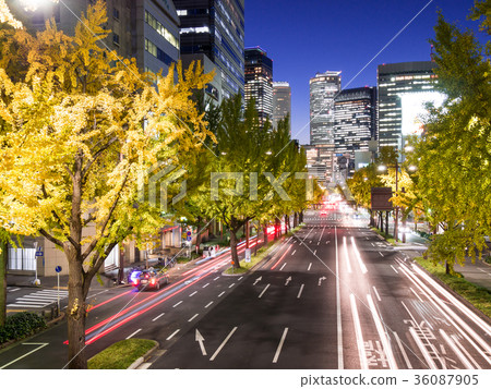 名古屋市風景佐倉大道銀杏行和名古屋車站大廈夜視圖交通圖像 36087905