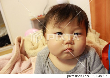 Baby-7 months Baby-7 months 36088904