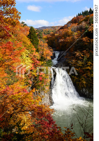 合法瀑布的秋天 36089407