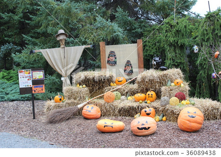 Halloween Halloween 36089438