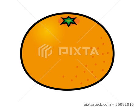 Mandarin orange  36091016