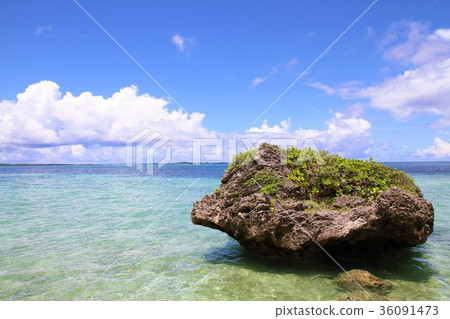 Miyakojima Okamijima 36091473